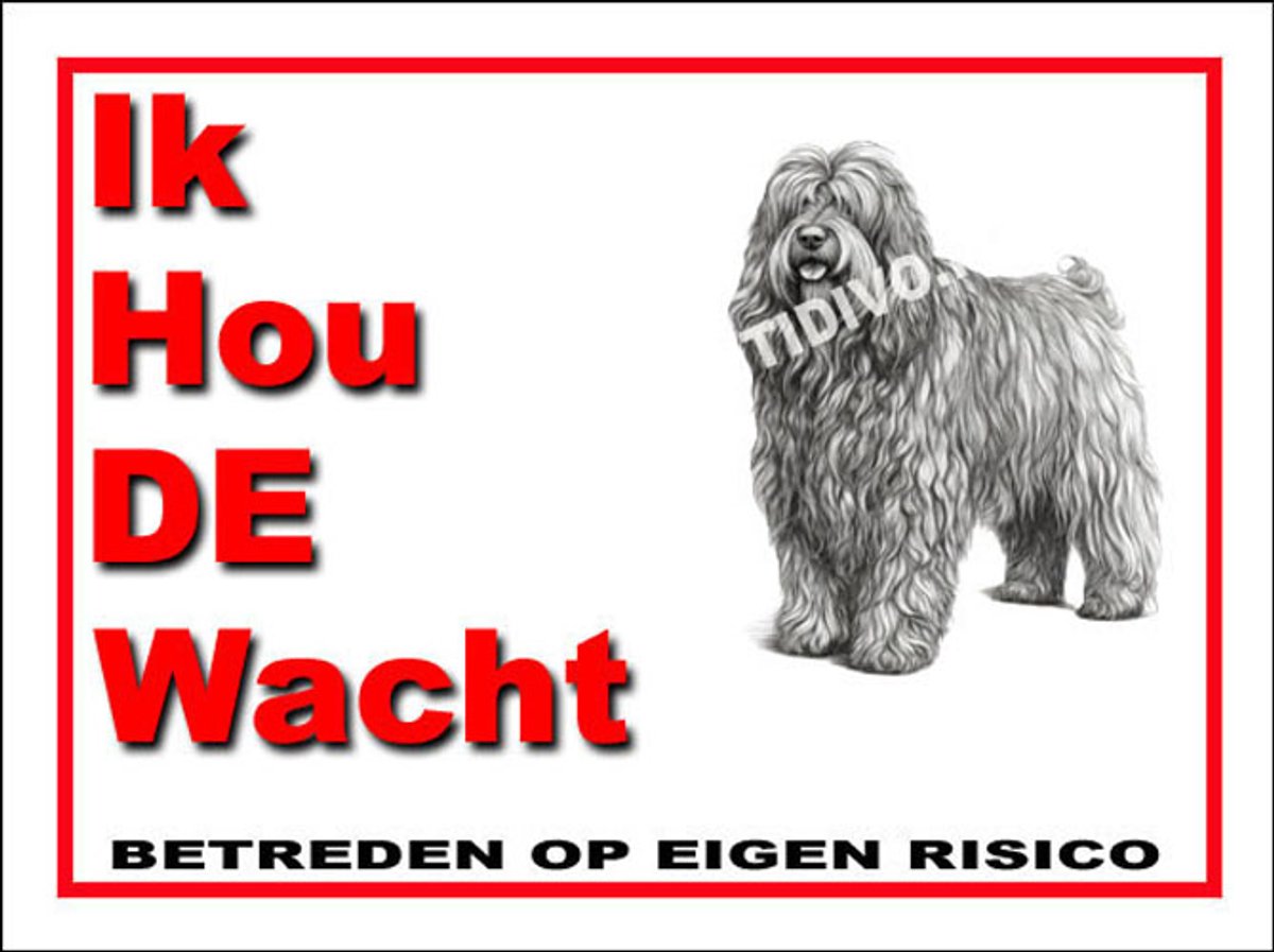 Bergamasco 7