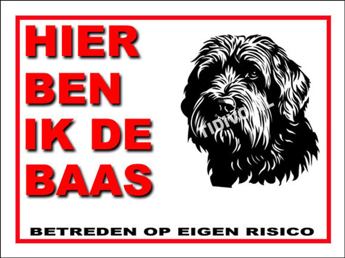 Black Russian Terrier 4