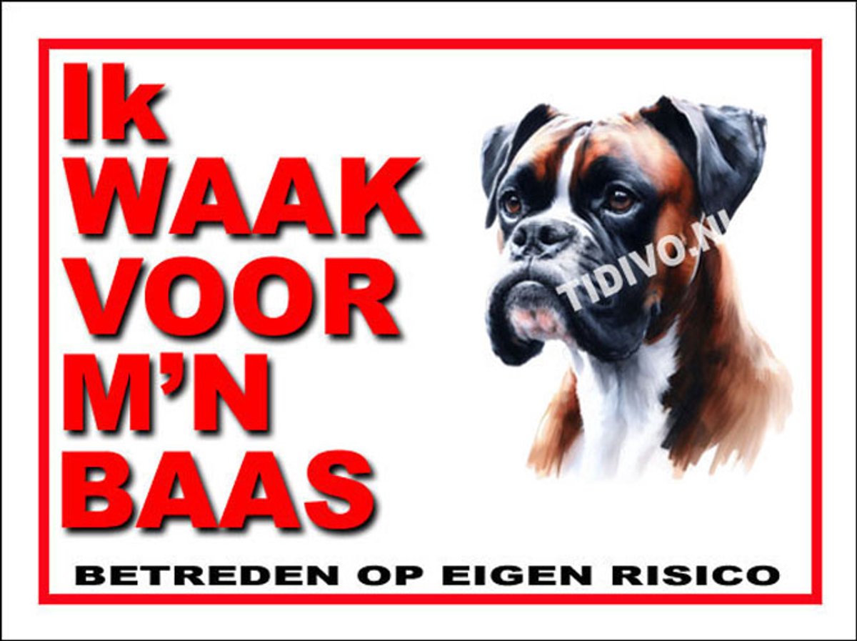 Boxer 9