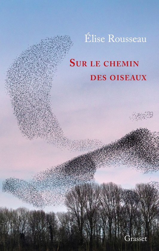 Sur le chemin des oiseaux - cover