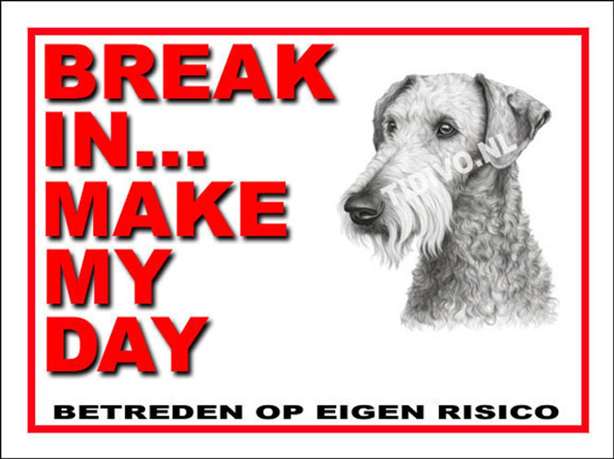 Bedlington Terrier 1