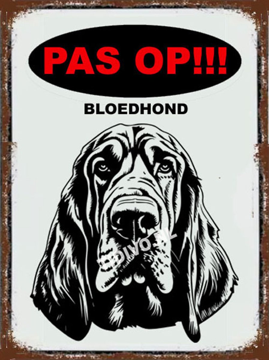 Bloedhond 17