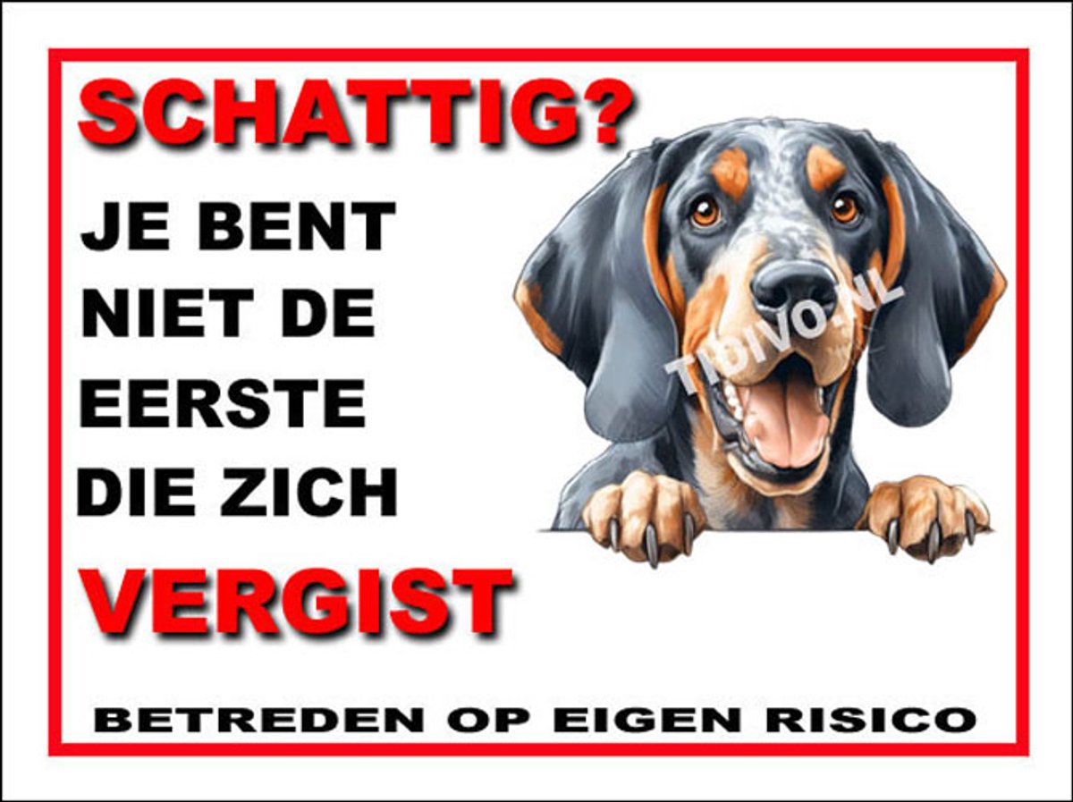 Bluetick Coonhound 14