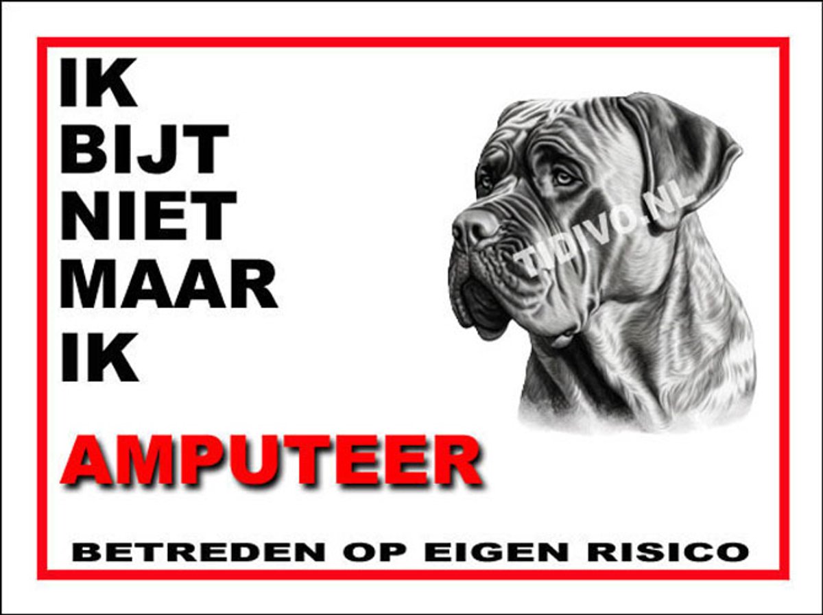 Boerboel 5