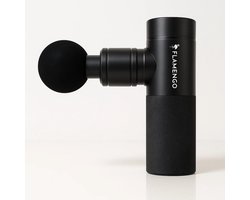Flamengo Mini Massage Gun | Staal Design | Ultralicht, Stil en Draadloos | Krachtige Spiermassage + Warmte & Koude Therapie - massage apparaat pistool INCL set