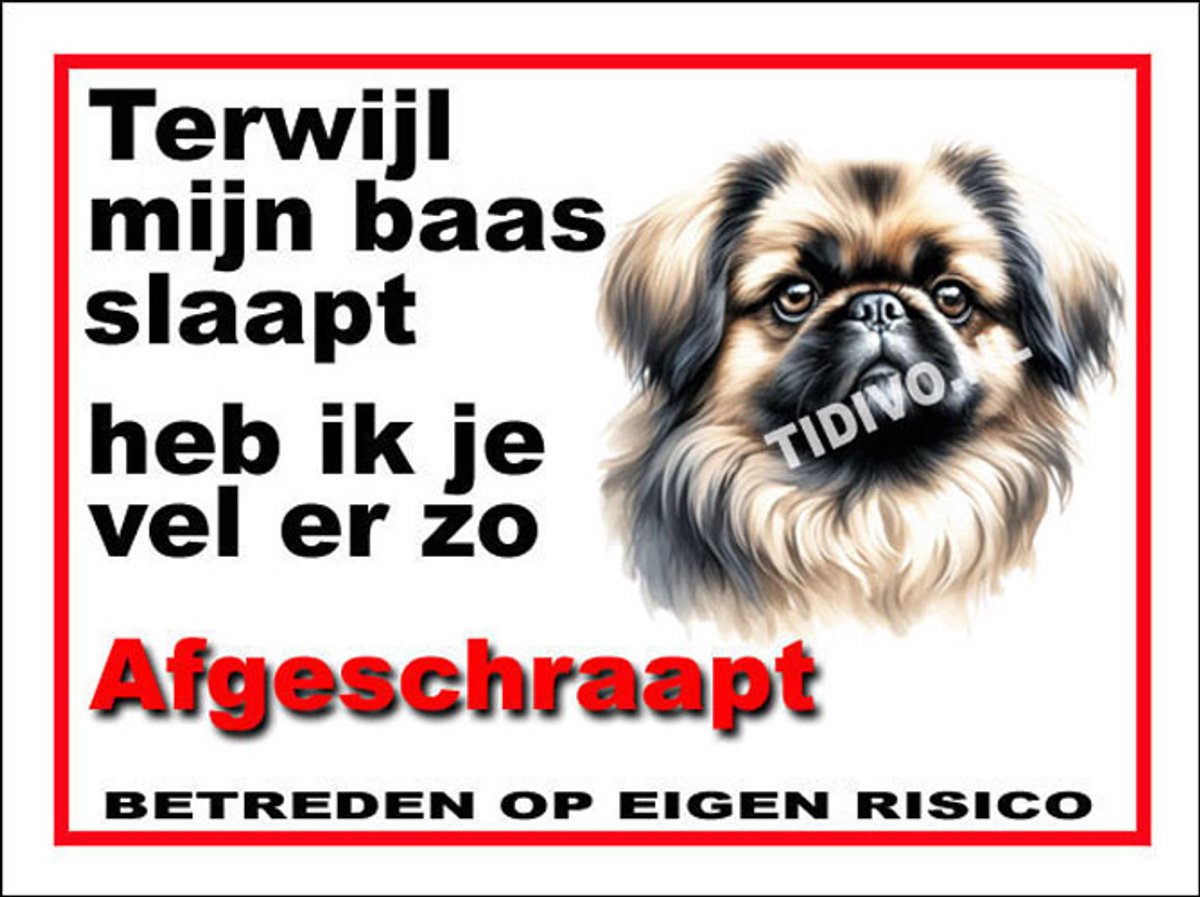 Pekingees 15