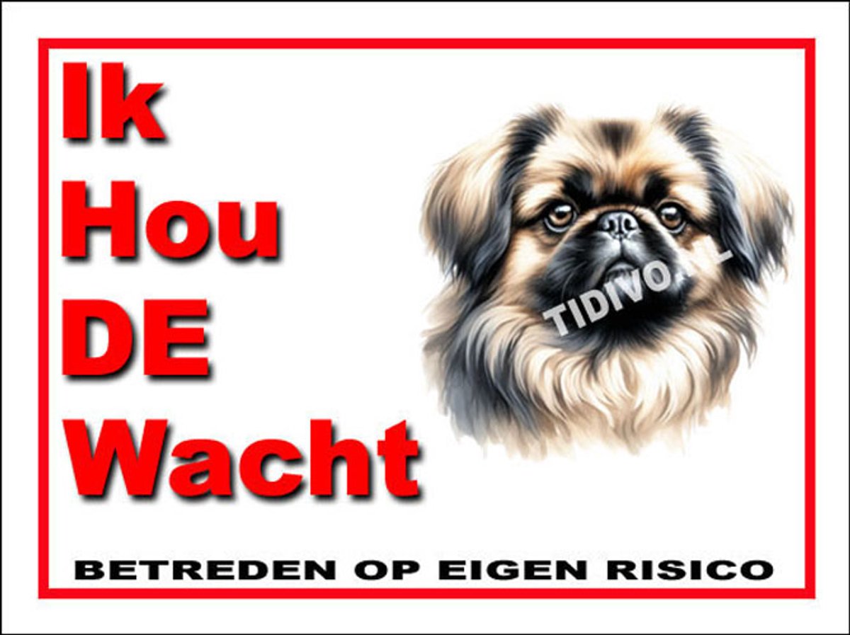 Pekingees 7