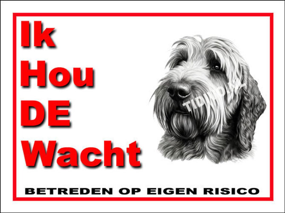 Otterhound 7