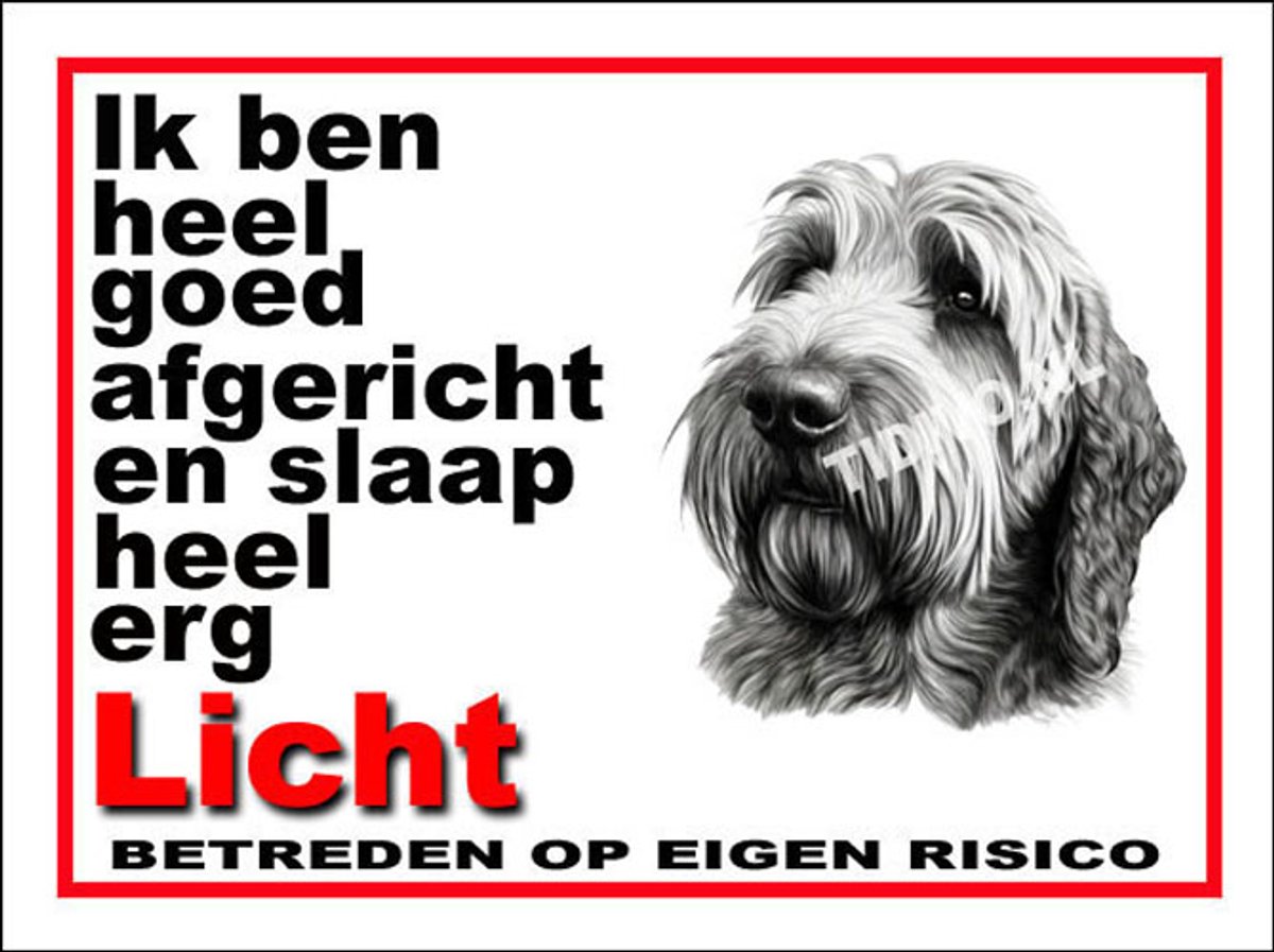 Otterhound 4