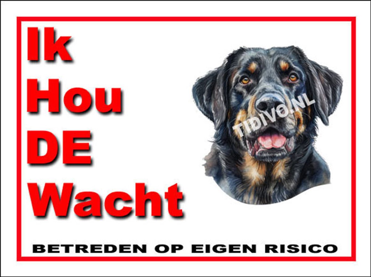 Münsterländer 7