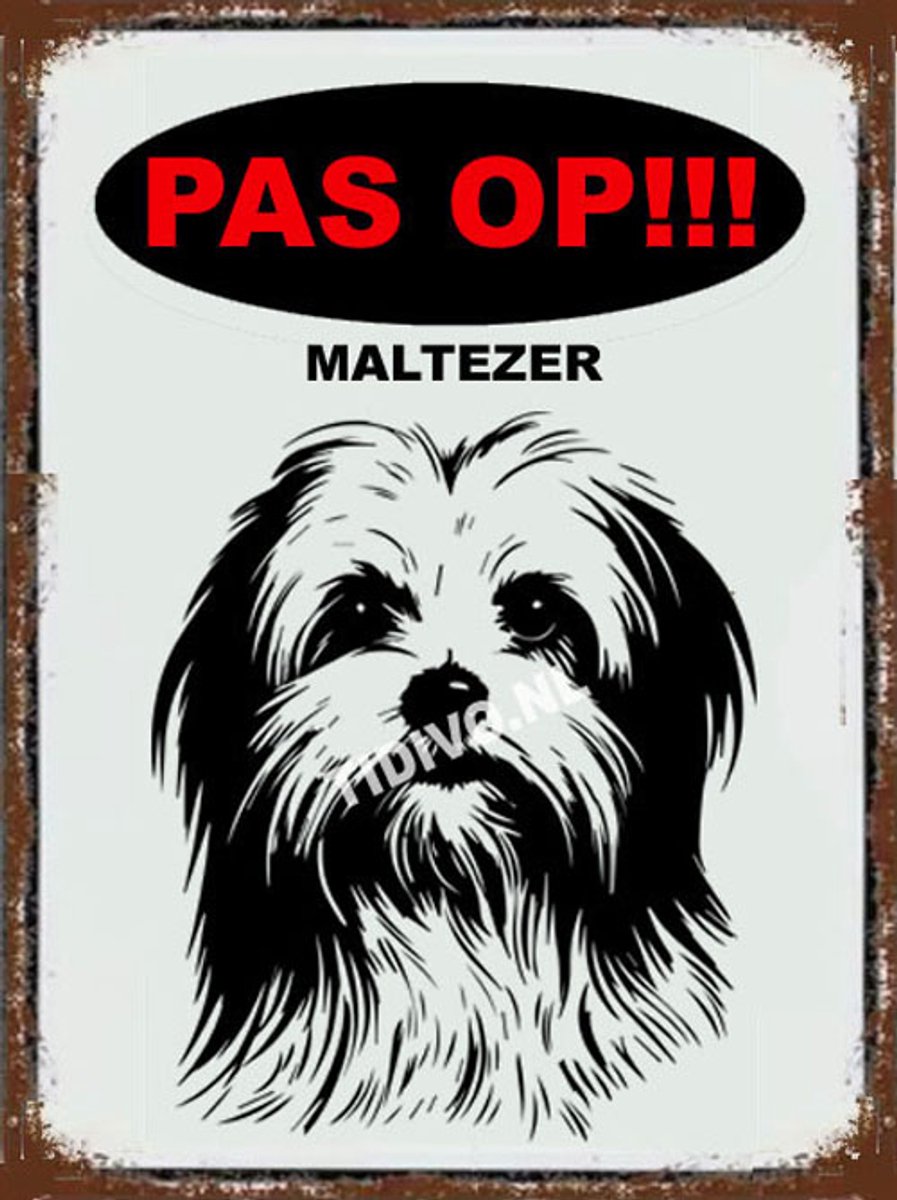 Maltezer 17