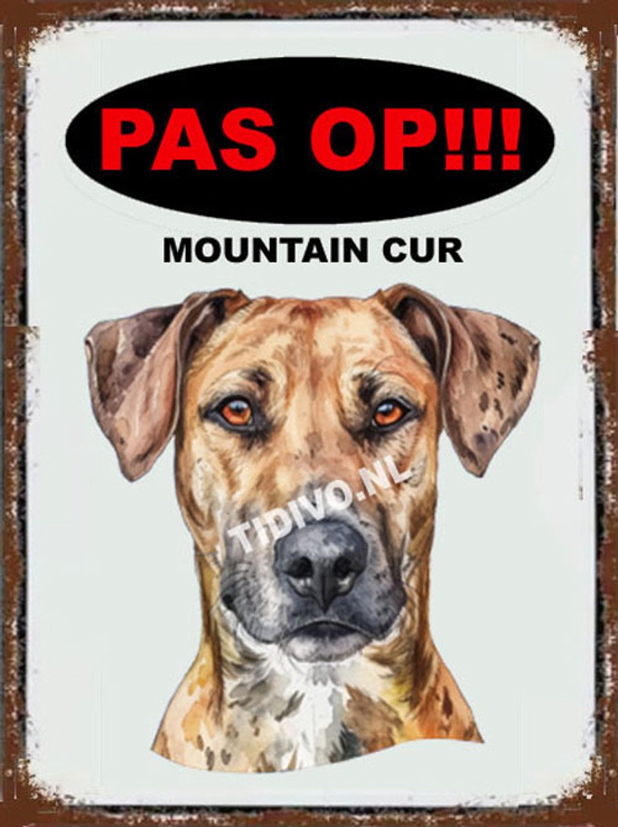Mountain Cur 17