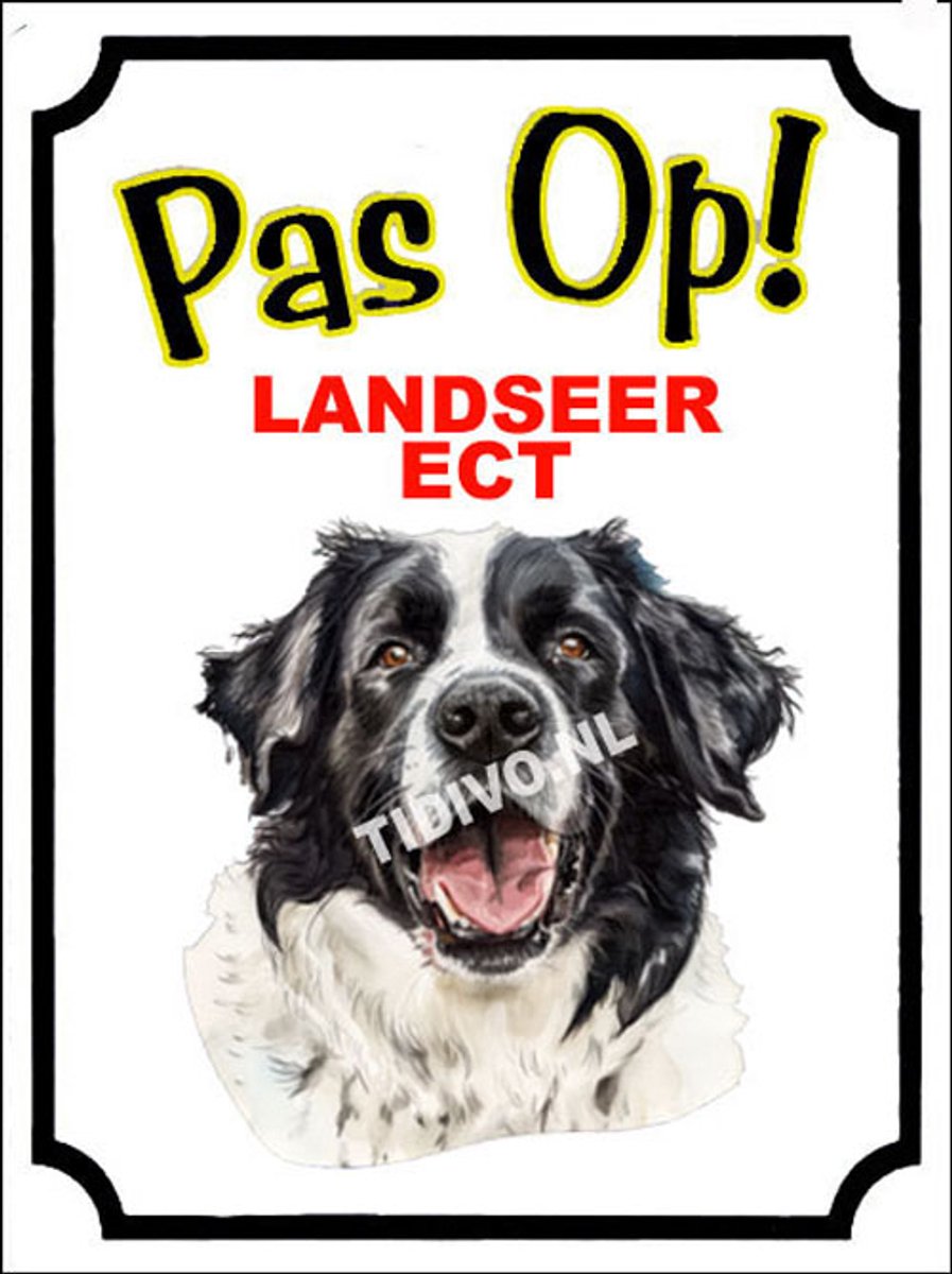 Landseer ECT 16