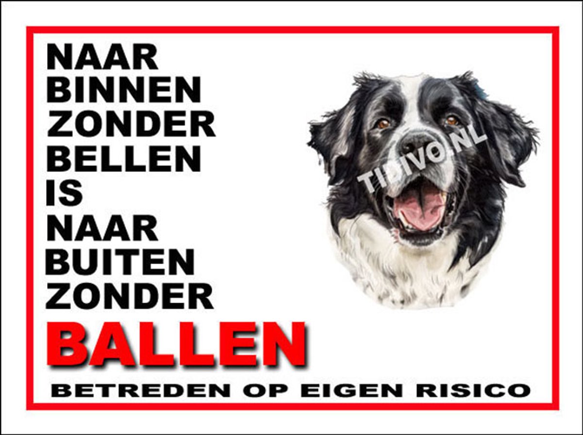 Landseer ECT 11