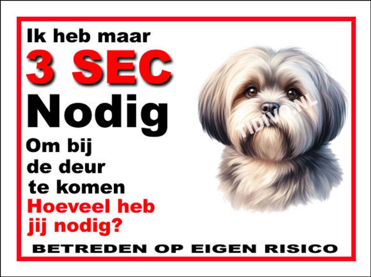 Lhasa Apso 6