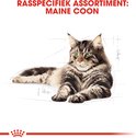 Gedetailleerde schets van een Maine Coon kat met de tekst 'Rasspecifiek assortiment: Maine Coon'.