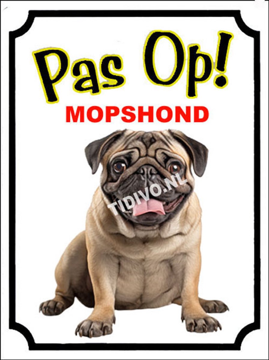 Mopshond 16