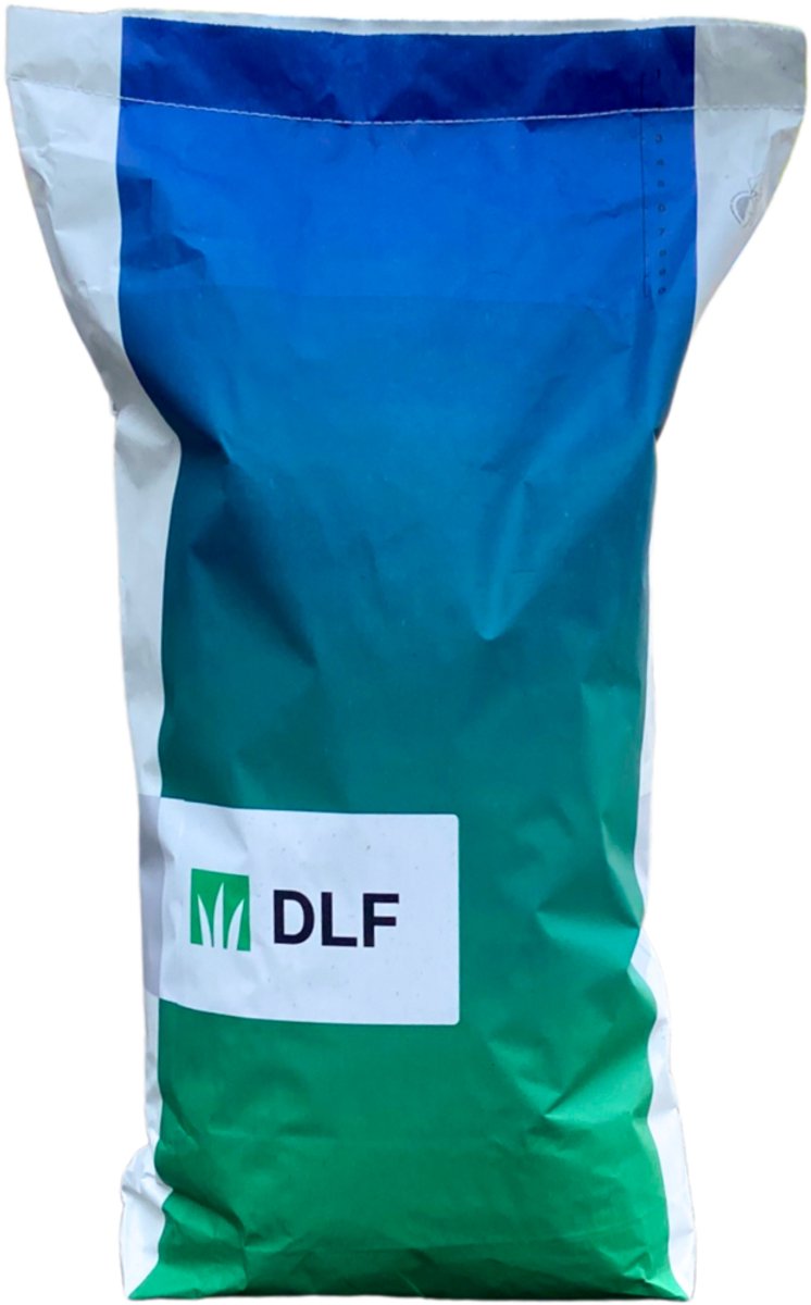 SV100 graszaad DLF