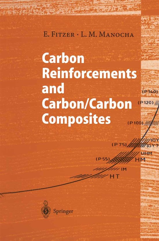 Carbon Reinforcements and Carbon/Carbon Composites
