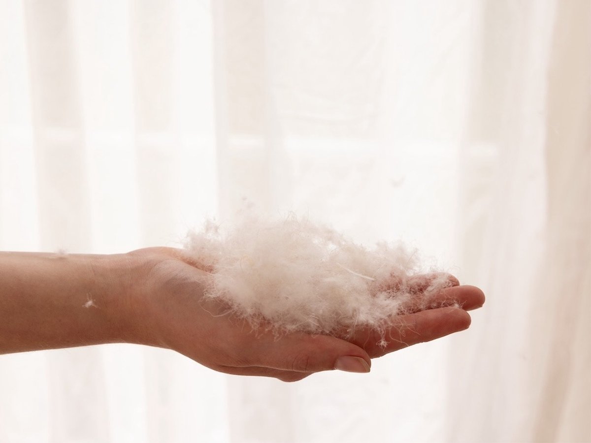 Yumeko hoofdkussen dons 60x70 stevig - Biologisch & ecologisch