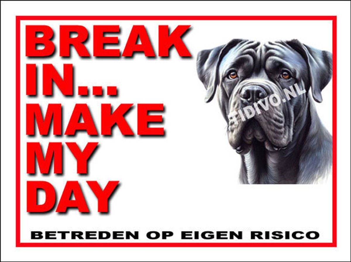 Cane Corso 1