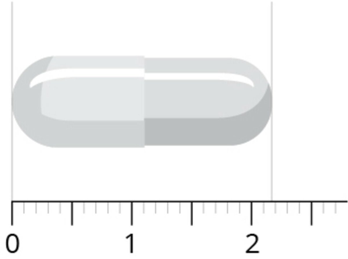 Vitals - Vitamine B5 Pantoth 250mg - 2 x 100 capsules - Voordeelverpakking