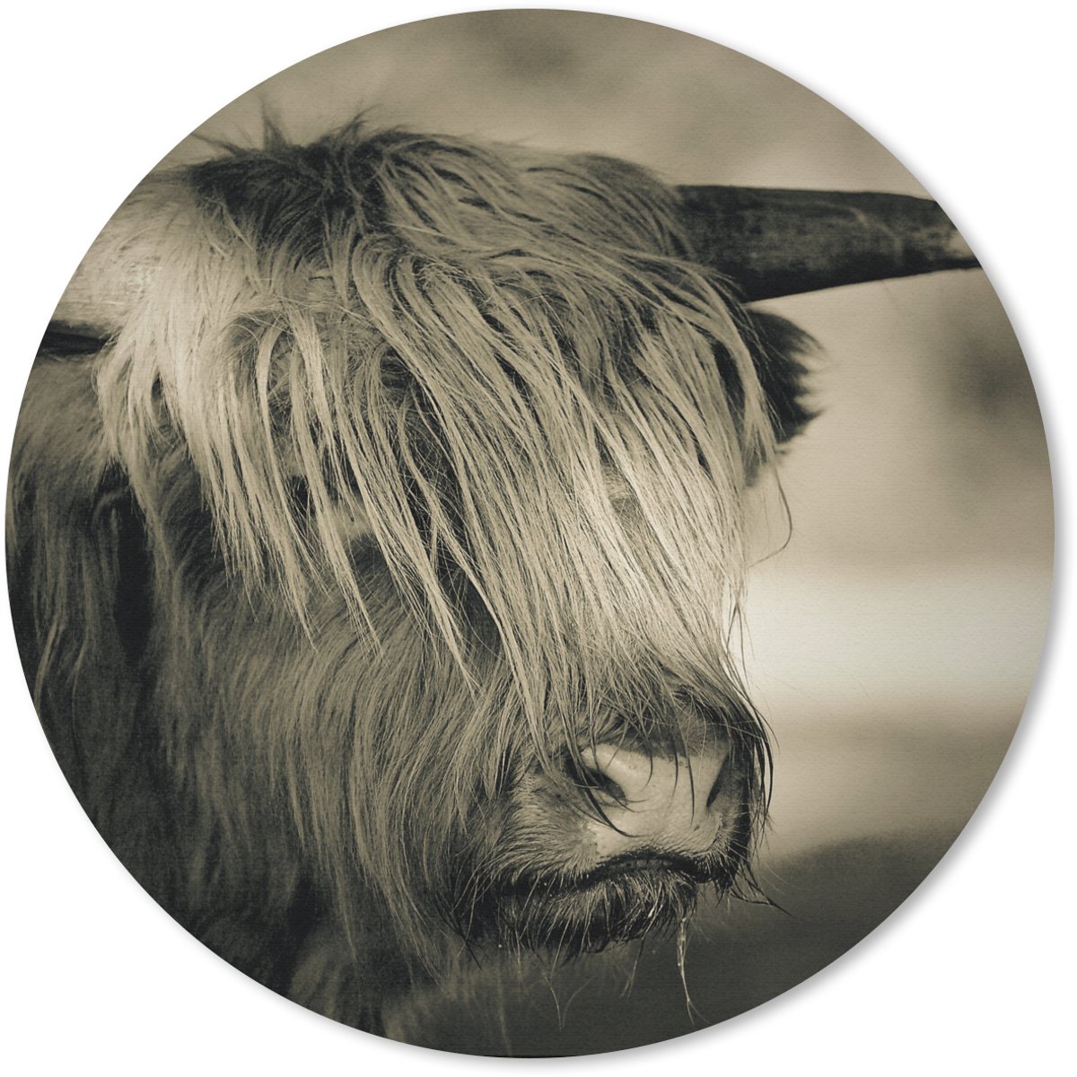 Muismat rond 20x20 cm - Mousepad Schotse Hooglander - Dieren - Haar - Ronde muismatten