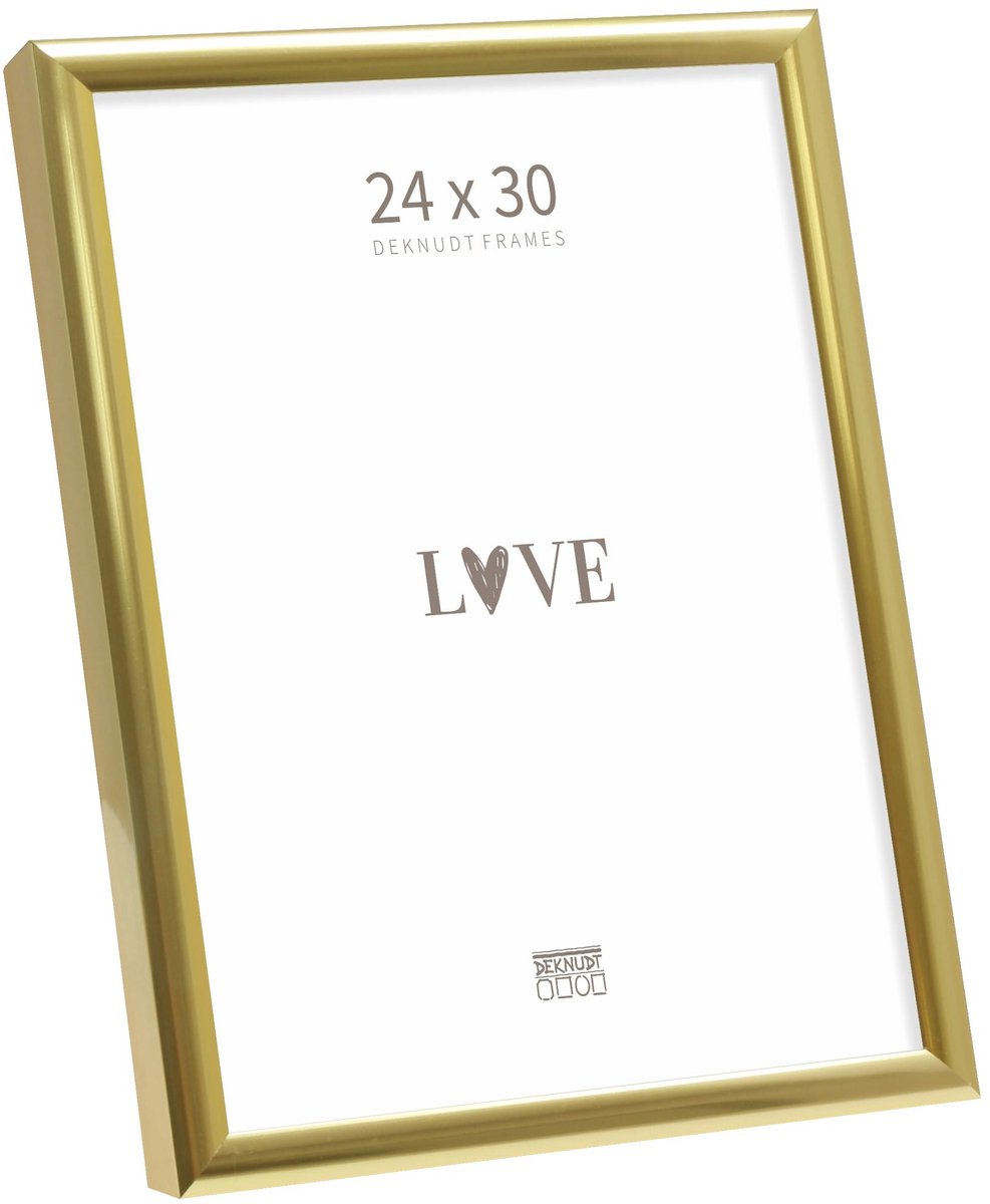 Deknudt Frames fotolijst S027A4 - smal goudkleurig aluminium - 24x30