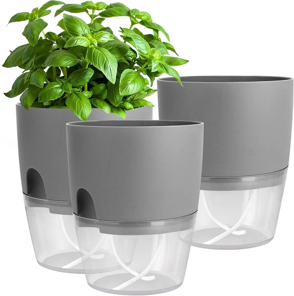 EXCITAT Bloempot - Bloempotten voor binnen - Zelfbewaterende kruidenpot keukenset - Voor verse keukenkruiden - 18,2 x 11 x 15,3 cm - Grijs - Set van 3