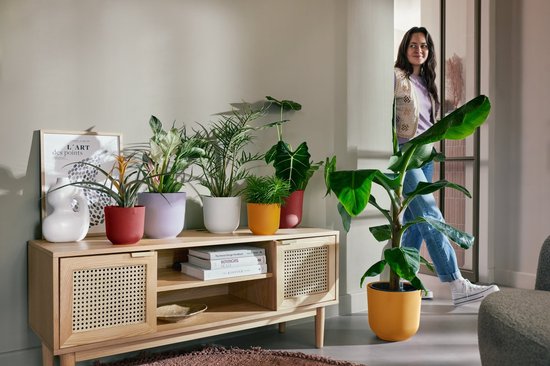 Elho Jazz Round Ø 30cm - Pot de Fleurs d'Intérieur - Plastique 100% recyclé - Structure Unique - Ø 29.5 x H 27.5 cm - Rouge toscane