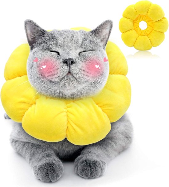 Avont Body na operaties, kat, rompertje voor katten na operaties, sterilisatie, pak voor het voorkomen van buikwonden na de operatie, eenhoorn (MX Avont Body na operaties, kat, rompertje voor katten na operaties, sterilisatie, pak voor het voorkomen van buikwonden na de operatie, eenhoorn (MX