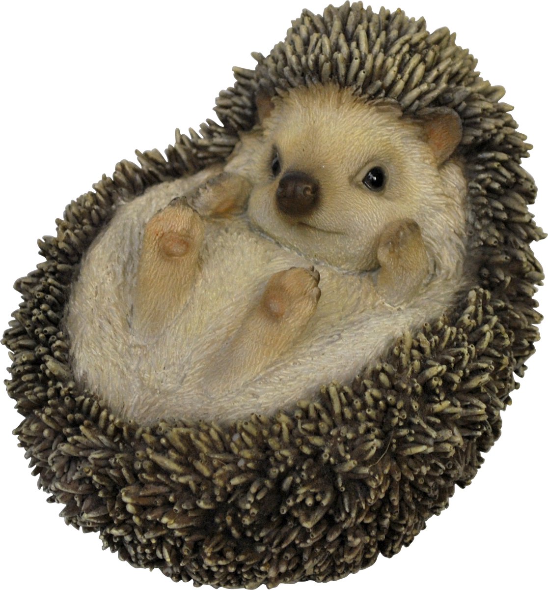 Egel op rug 13x12x13cm - Tuinbeeld - Dierenbeeld