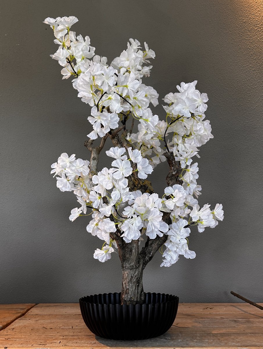 Seta Fiori - Kunst bloesemboom - Kunstboom - WIT - 75cm - Voor Binnen - Nieuwe Fluffy - Sakura
