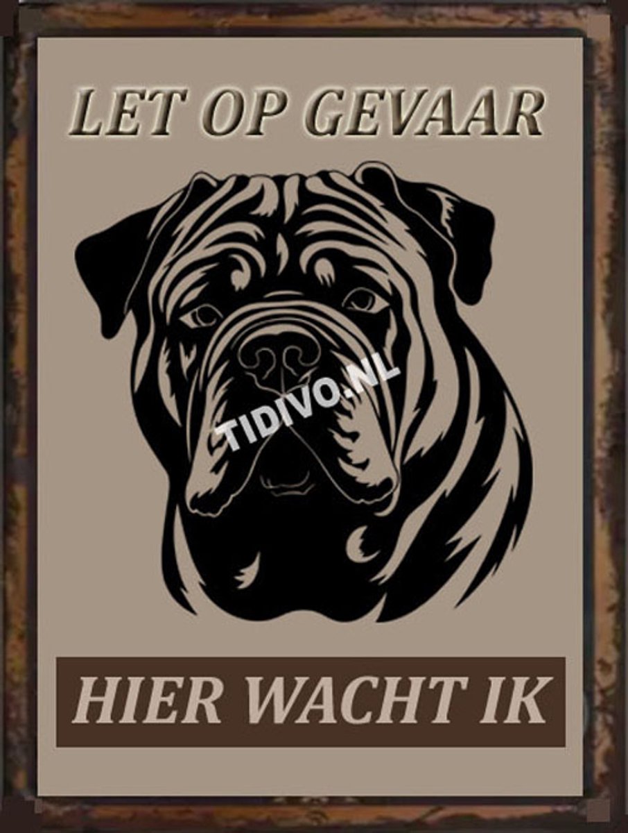Shar-Pei 18
