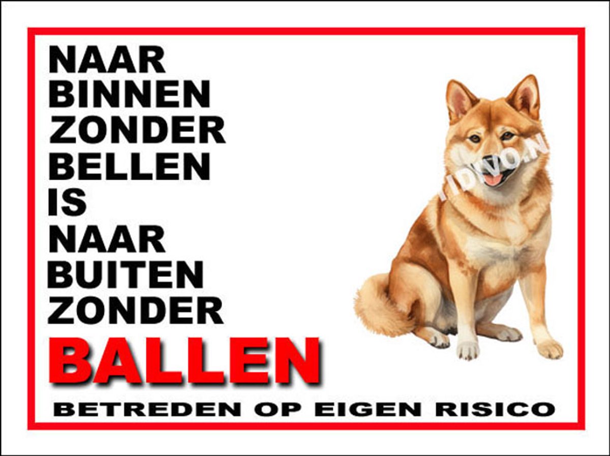 Shiba 11