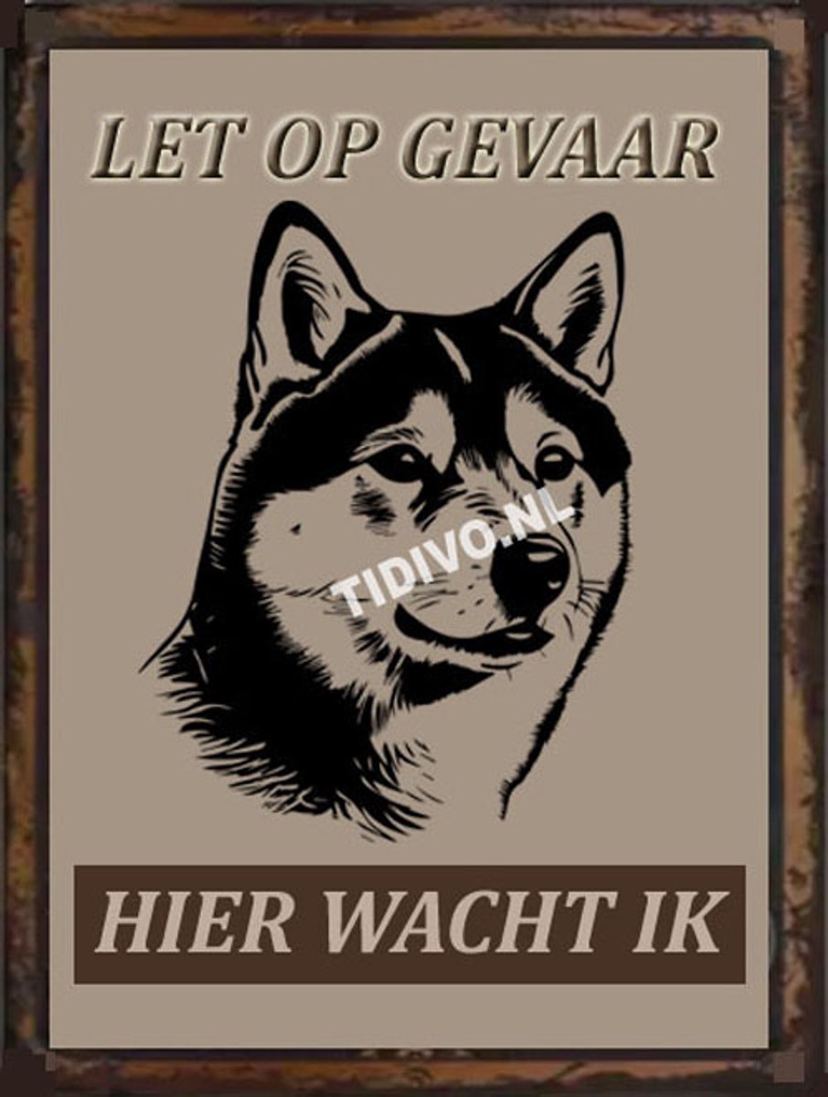 Shiba 18