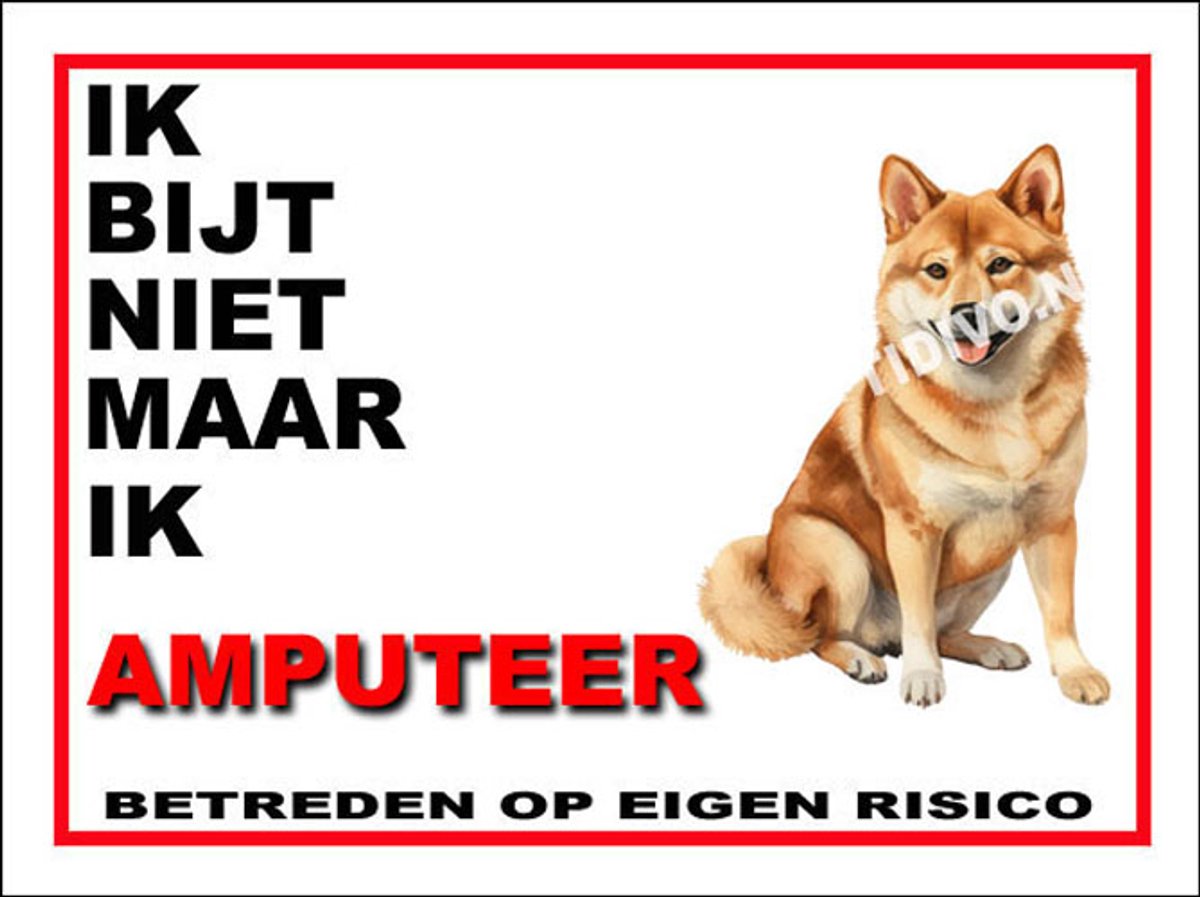 Shiba 5
