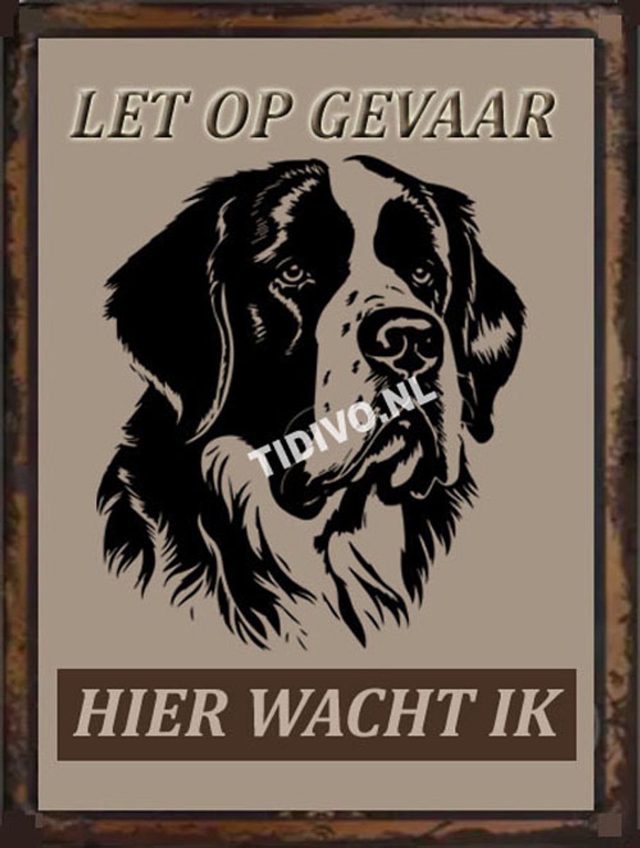 Sint Bernard 18