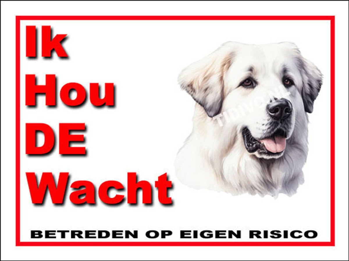 Pyreneese Berghond 7