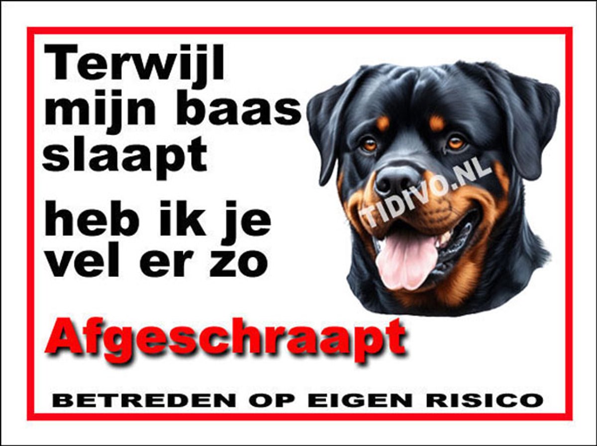 Rottweiler 15