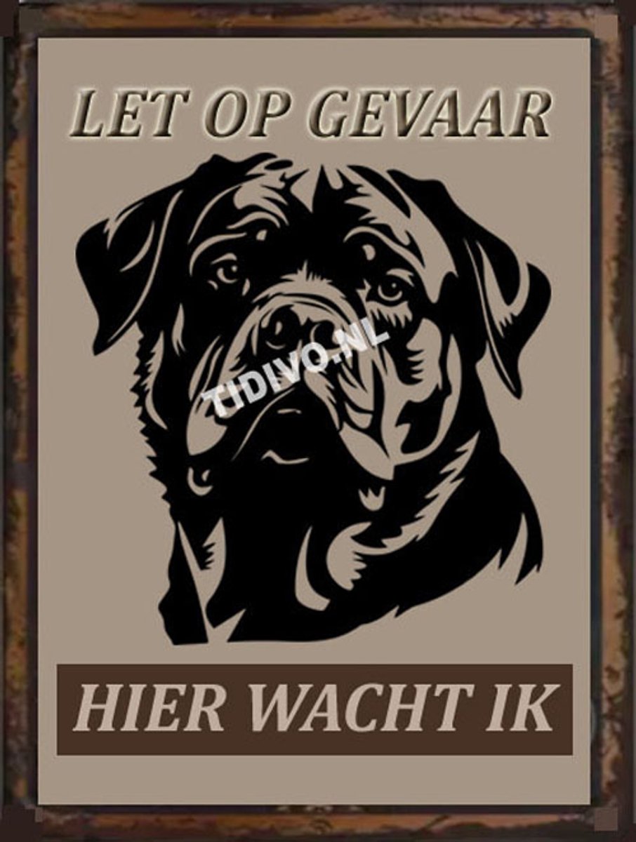 Rottweiler 18