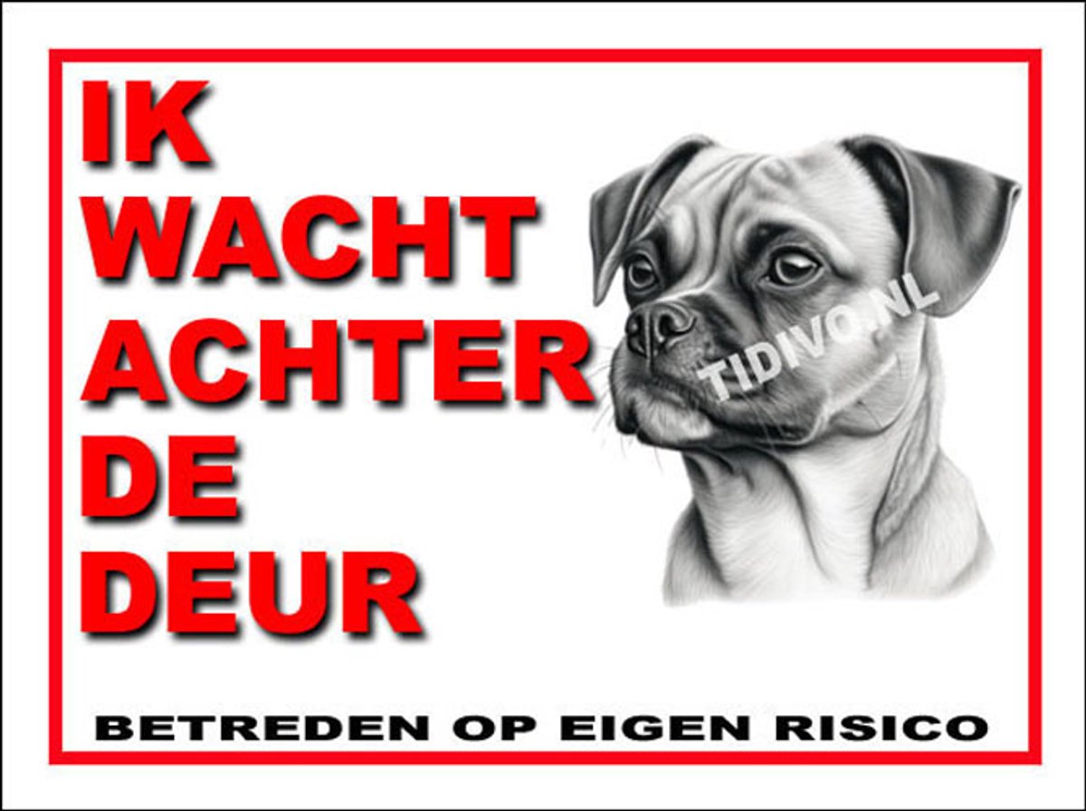 Puggle 10