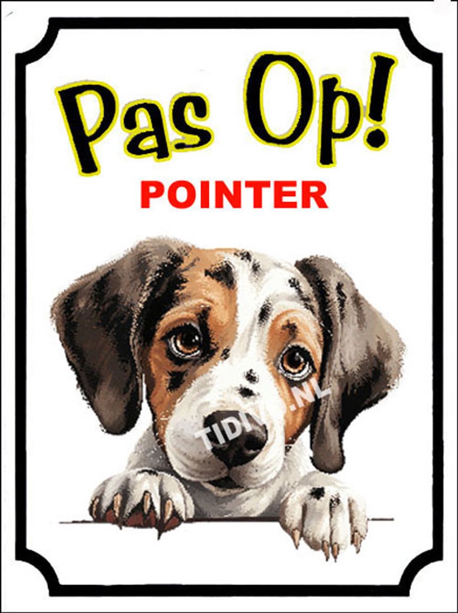 Pointer 16