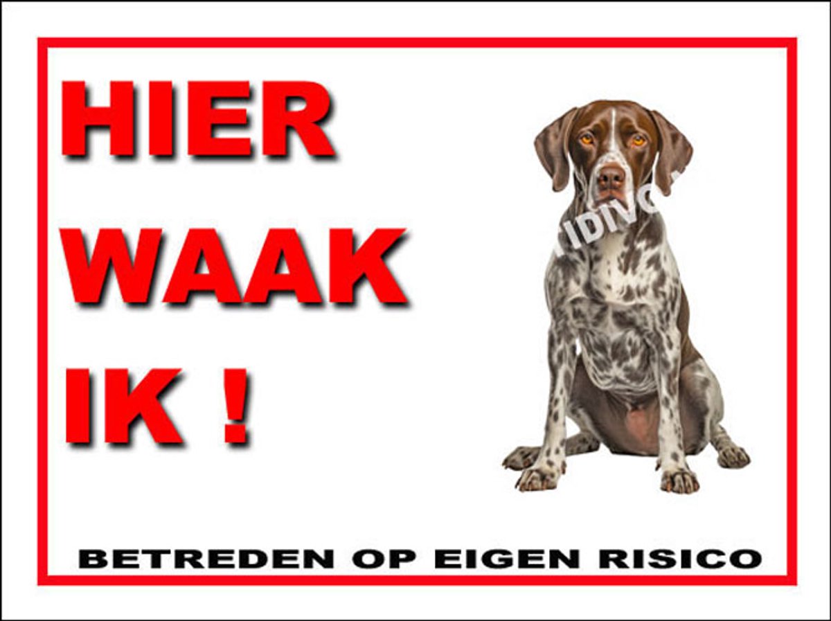 Pointer 3