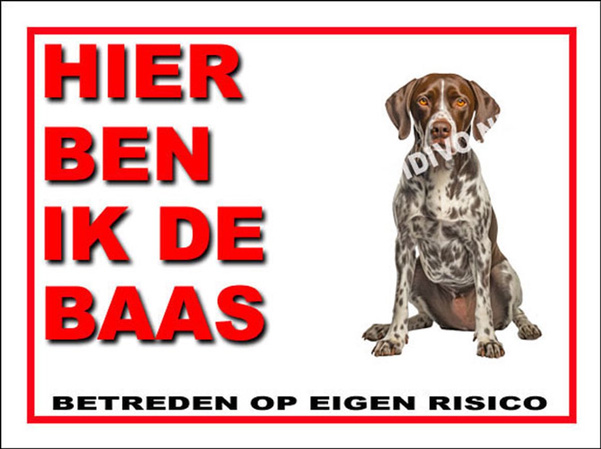 Pointer 2