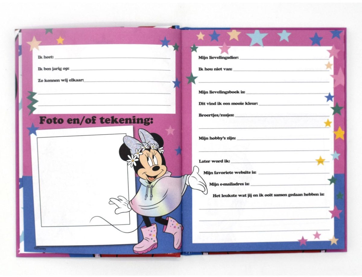 Vriendenboek Minnie Mouse — afbeelding 13
