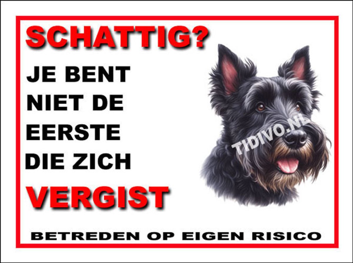Schotsche Terrier 14
