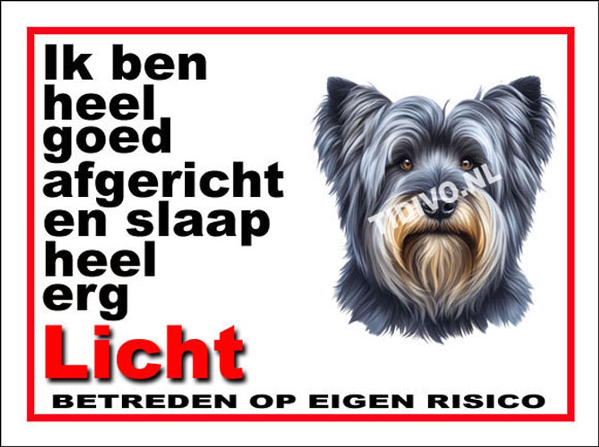 Skye Terrier 4