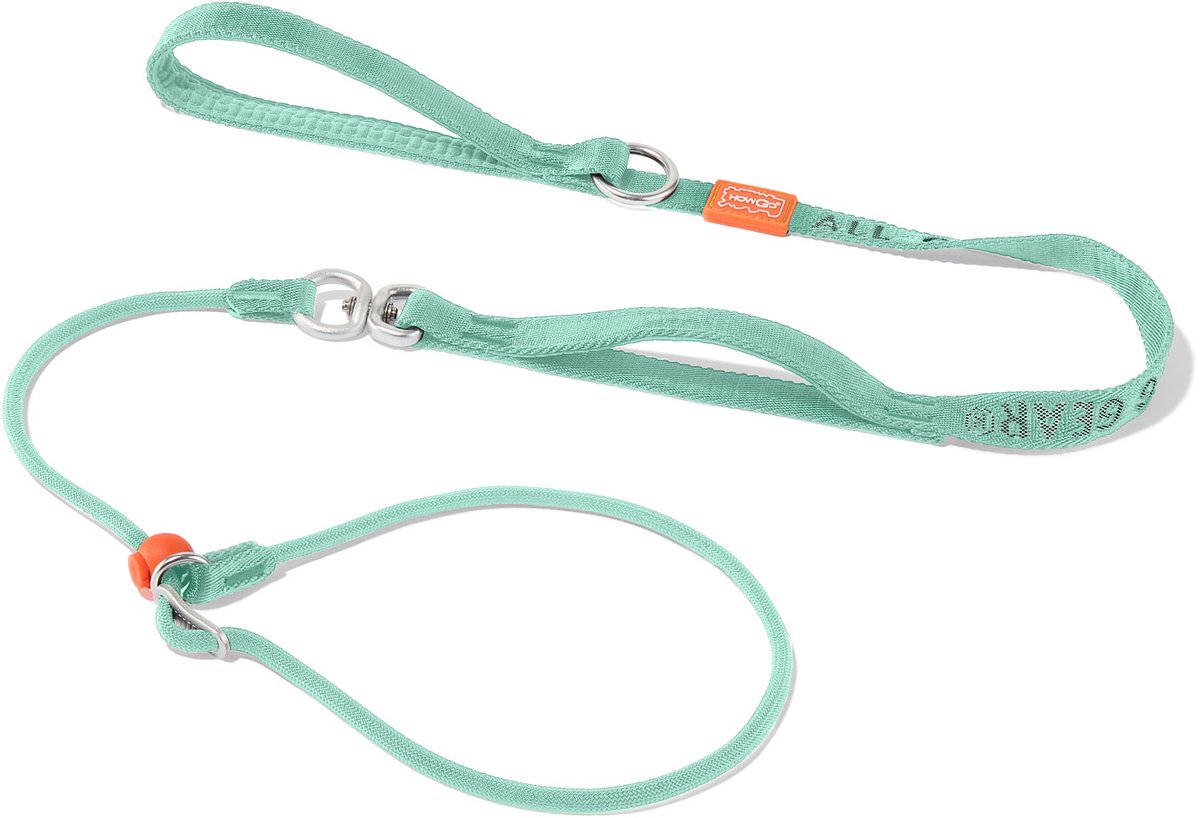 Slip Lead Leash with Collar 1.5m (Mint) - 360° Swivel Anti Tangle / Heavy Duty - No Pull Walking / 2 Handles / Large Medium Small Dogs / Training Hondenriem / Slipriem / Trainingslijn / Sliplijn / Slip Leiband