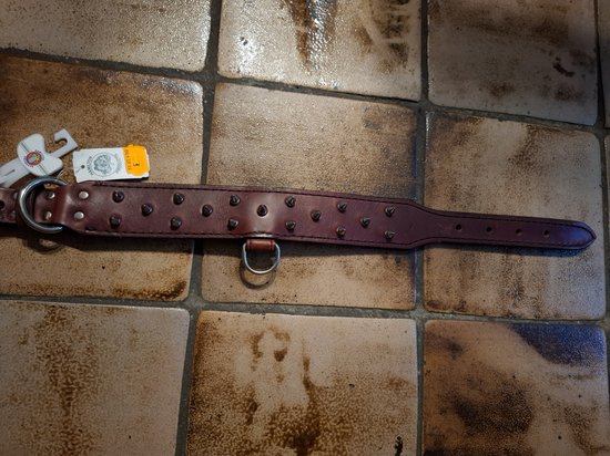 Punk halsband - Carnavalskleding goedkoop in 2023